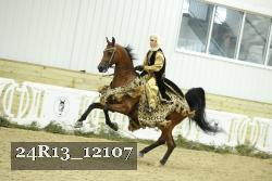24R13_12107 thumbnail