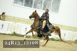 24R13_12108 thumbnail