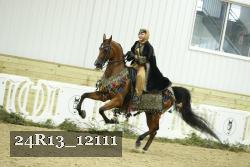 24R13_12111 thumbnail
