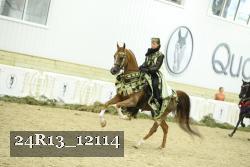 24R13_12114 thumbnail