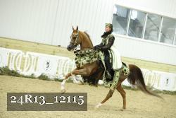 24R13_12115 thumbnail