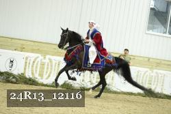 24R13_12116 thumbnail