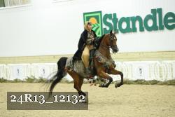 24R13_12132 thumbnail