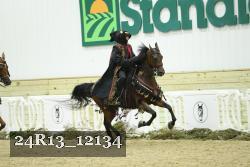 24R13_12134 thumbnail