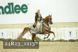 24R13_12137 thumbnail