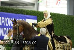 24R13_12152 thumbnail