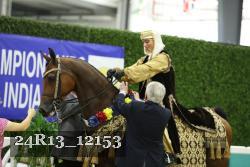 24R13_12153 thumbnail