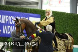 24R13_12154 thumbnail