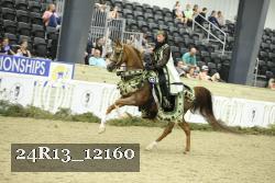24R13_12160 thumbnail