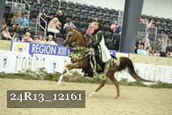 24R13_12161 thumbnail