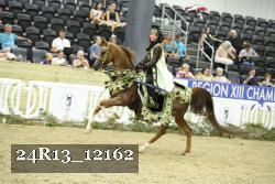 24R13_12162 thumbnail