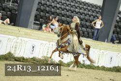 24R13_12164 thumbnail