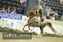24R13_12165 thumbnail