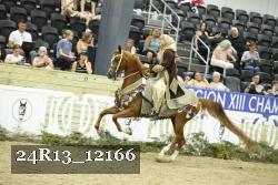 24R13_12166 thumbnail