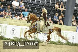 24R13_12167 thumbnail