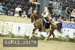 24R13_12170 thumbnail