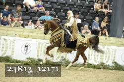 24R13_12171 thumbnail