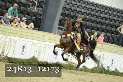 24R13_12173 thumbnail