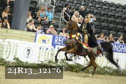 24R13_12176 thumbnail