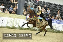 24R13_12185 thumbnail
