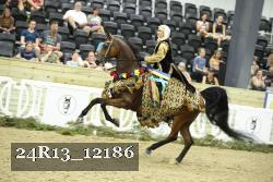 24R13_12186 thumbnail