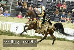 24R13_12187 thumbnail