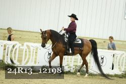 24R13_12198 thumbnail