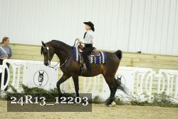 24R13_12203 thumbnail