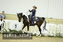 24R13_12205 thumbnail