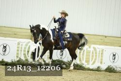 24R13_12206 thumbnail