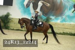 24R13_12214 thumbnail