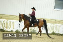 24R13_12227 thumbnail