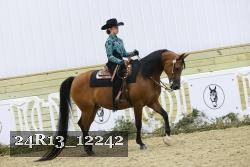 24R13_12242 thumbnail