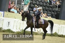 24R13_12268 thumbnail