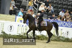 24R13_12271 thumbnail