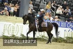 24R13_12272 thumbnail
