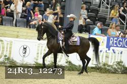 24R13_12273 thumbnail