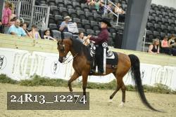 24R13_12274 thumbnail