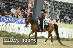 24R13_12275 thumbnail