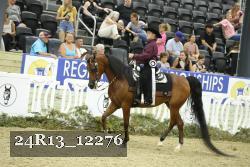 24R13_12276 thumbnail