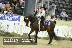 24R13_12278 thumbnail