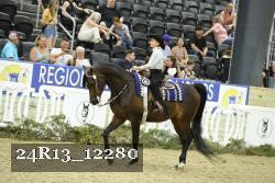 24R13_12280 thumbnail