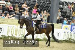 24R13_12282 thumbnail