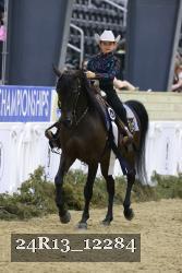 24R13_12284 thumbnail