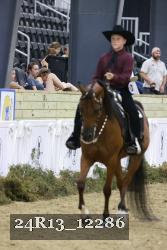 24R13_12286 thumbnail