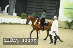 24R13_12289 thumbnail