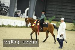 24R13_12290 thumbnail