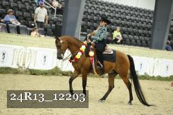 24R13_12293 thumbnail