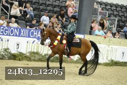 24R13_12295 thumbnail