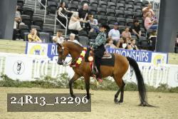 24R13_12296 thumbnail